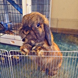 Meet your Posher, Kaylee